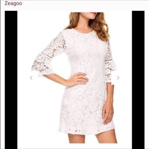 Romantic lace lg sleeved dress